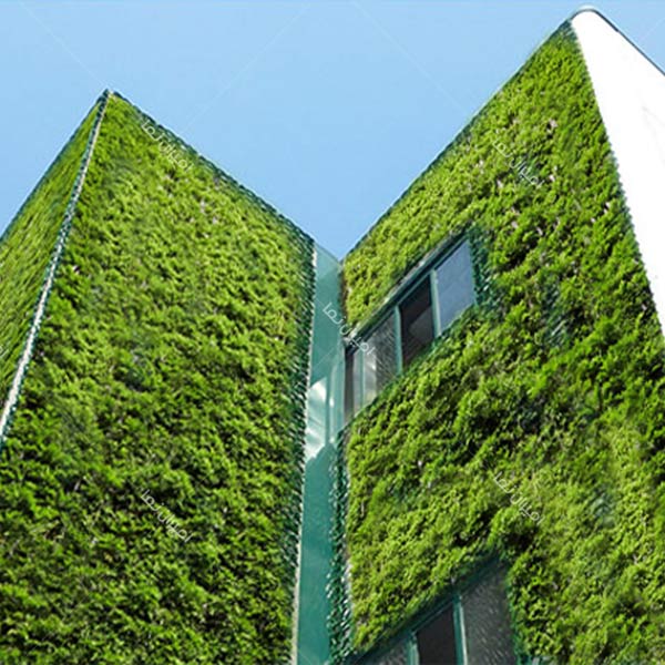 نمای سبز یکی از نماهای مدرن و جذاب ساختمان و آپارتمانی است.