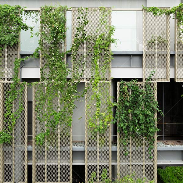 نمای ساختمان با فلز و پنجره و گیاه ساختمانی