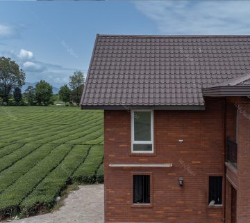 نمای آجری ویلا در مزرعه چای